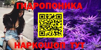 хмурый Бердск